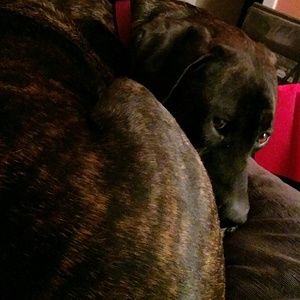 Meet your Posher, Nicholas